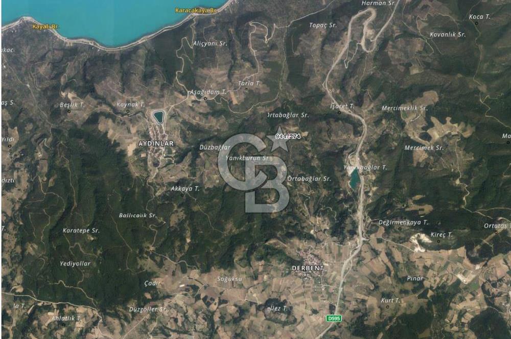 İZNİK DERBENT' TE SATILIK ZEYTİNLİK