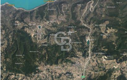 İZNİK DERBENT' TE SATILIK ZEYTİNLİK