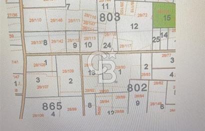 KIRKAĞAÇ ŞAİR EŞREF'TE SATILIK TARLA