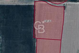 KIRKAĞAÇ ŞAİR EŞREF'TE SATILIK TARLA - 1 - 319437