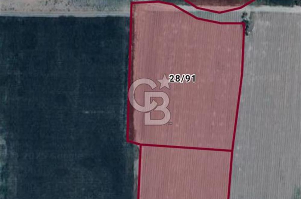 KIRKAĞAÇ İLÇESİ ŞAİR EŞREF MAH. DE SATILIK 12662 M2 TARLA