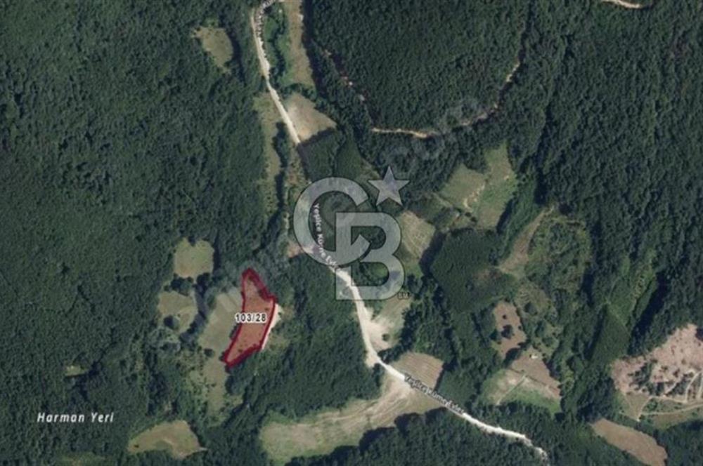 KIRKLARELİ DEMİRKÖY YEŞİLCEDE SATILIK ARSA