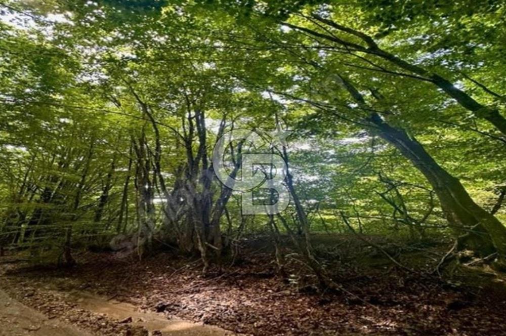 KIRKLARELİ DEMİRKÖY YEŞİLCEDE SATILIK ARSA