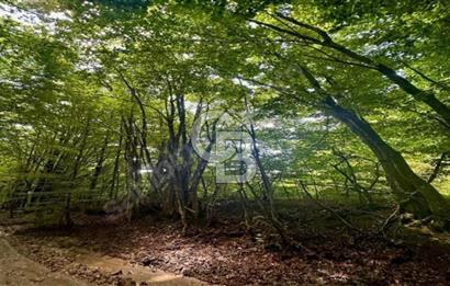 KIRKLARELİ DEMİRKÖY YEŞİLCEDE SATILIK ARSA