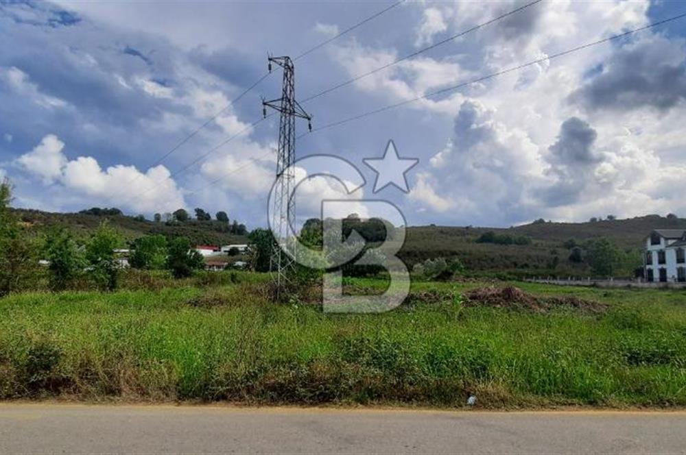 KOCAALİ DEMİRAÇMADA SATILIK ARSA