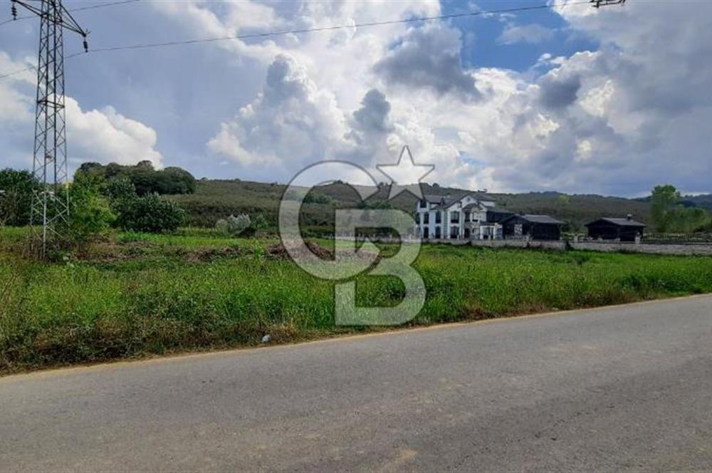 KOCAALİ DEMİRAÇMADA SATILIK ARSA