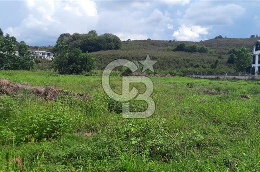 KOCAALİ DEMİRAÇMADA SATILIK ARSA