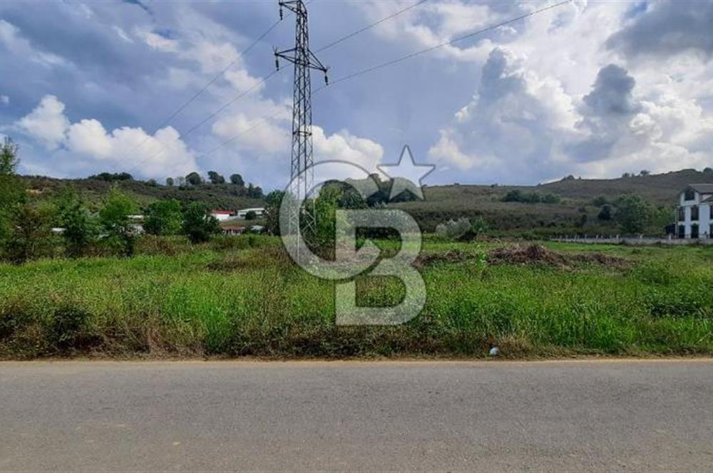 KOCAALİ DEMİRAÇMADA SATILIK ARSA