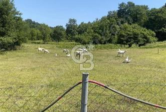  1388 METREKARE SATILIK ARSA - 1 - 319426