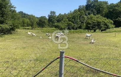  1388 METREKARE SATILIK ARSA