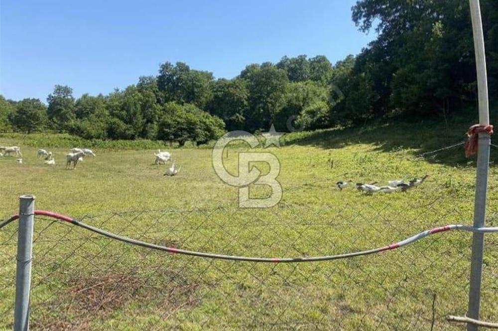  1388 METREKARE SATILIK ARSA