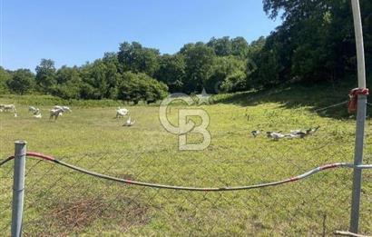  1388 METREKARE SATILIK ARSA