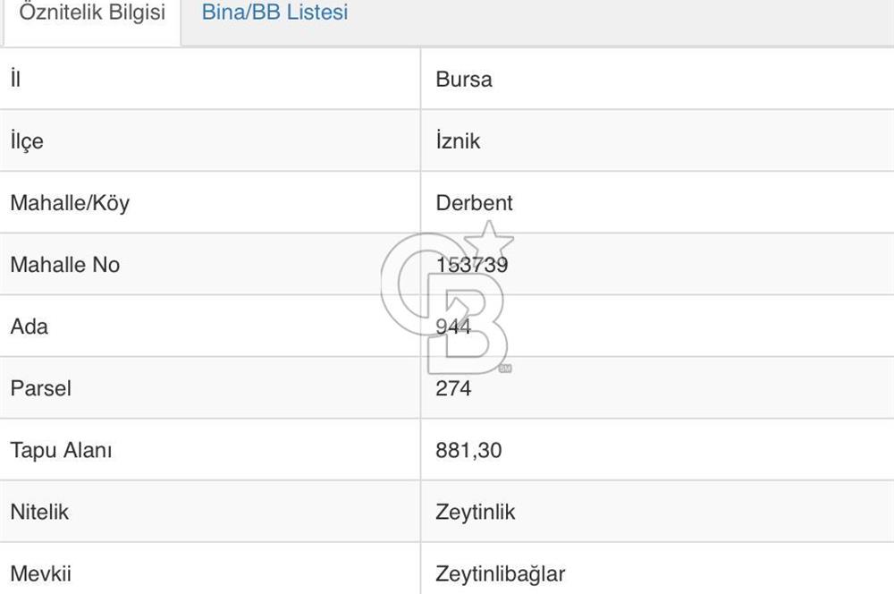 İZNİK DERBENT' TE SATILIK ZEYTİNLİK