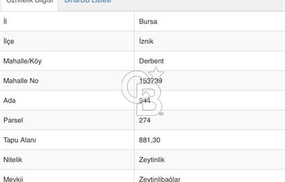 İZNİK DERBENT' TE SATILIK ZEYTİNLİK