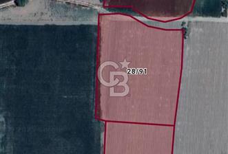 KIRKAĞAÇ İLÇESİ ŞAİR EŞREF MAH. DE SATILIK 12662 M2 TARLA - 3 - 319446