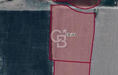 KIRKAĞAÇ İLÇESİ ŞAİR EŞREF MAH. DE SATILIK 12662 M2 TARLA