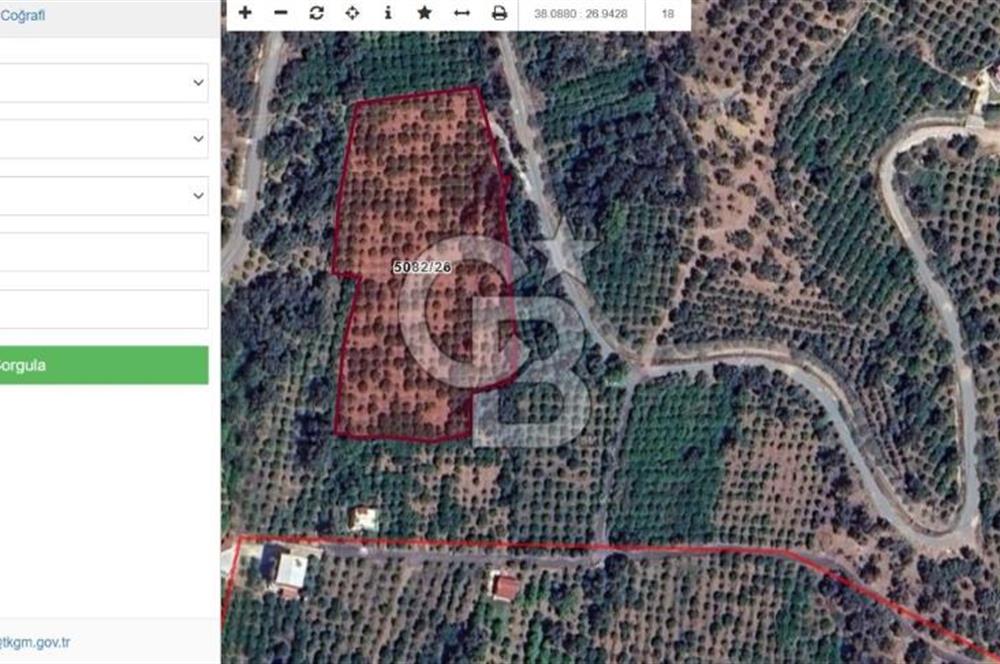 Seferihisar Payamlı'da Yatırımlık Arazi