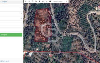 Seferihisar Payamlı'da Yatırımlık Arazi