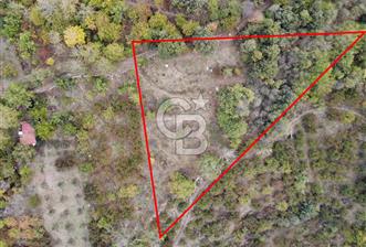 JASSE'DEN SATILIK TARLA - 8 - 319425