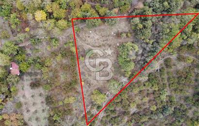 JASSE'DEN SATILIK TARLA