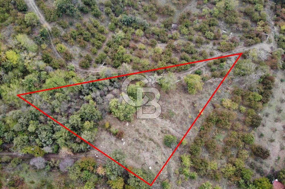 JASSE'DEN SATILIK TARLA