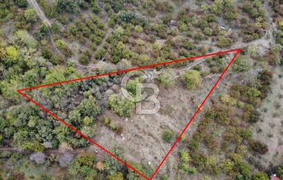 JASSE'DEN SATILIK TARLA