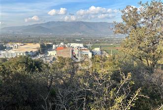 MENEMEN EMİRALEMDE SATILIK VLLA İMARLI ARSA - 1 - 319517