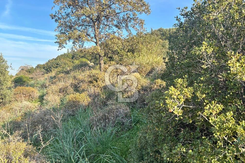 MENEMEN EMİRALEMDE SATILIK VLLA İMARLI ARSA