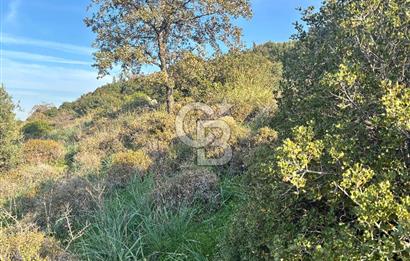 MENEMEN EMİRALEMDE SATILIK VLLA İMARLI ARSA