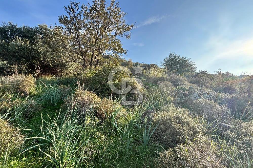 MENEMEN EMİRALEMDE SATILIK VLLA İMARLI ARSA