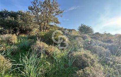 MENEMEN EMİRALEMDE SATILIK VLLA İMARLI ARSA