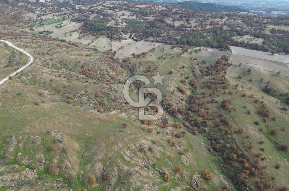 CB OPİA'DAN "SATILIK GES ARAZİSİ 260.000 m² "