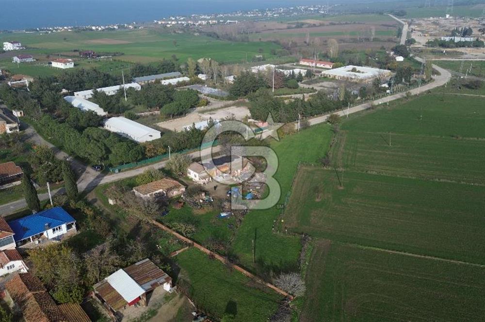 Gelibolu Koruköy de 3567 M² Satılık Arsa !