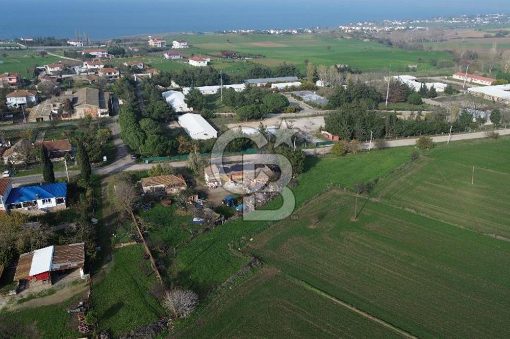 Gelibolu Koruköy de 3567 M² Satılık Arsa !