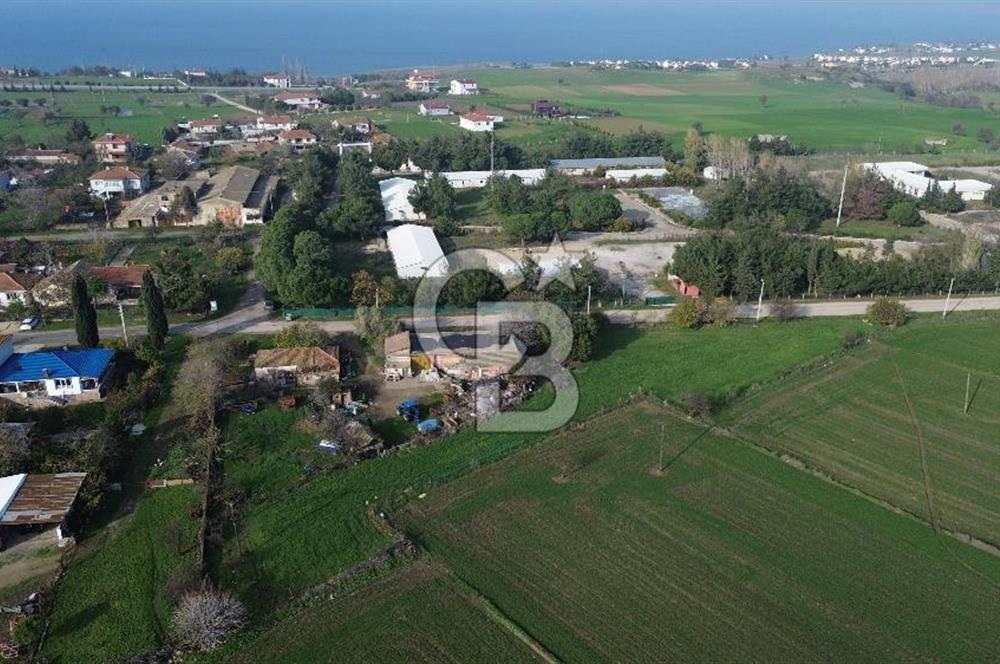 Gelibolu Koruköy de 3567 M² Satılık Arsa !