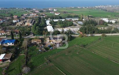 Gelibolu Koruköy de 3567 M² Satılık Arsa !