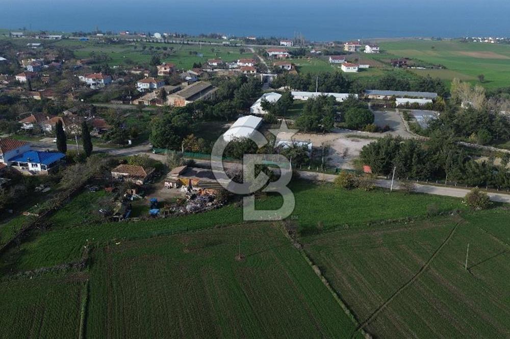 Gelibolu Koruköy de 3567 M² Satılık Arsa !