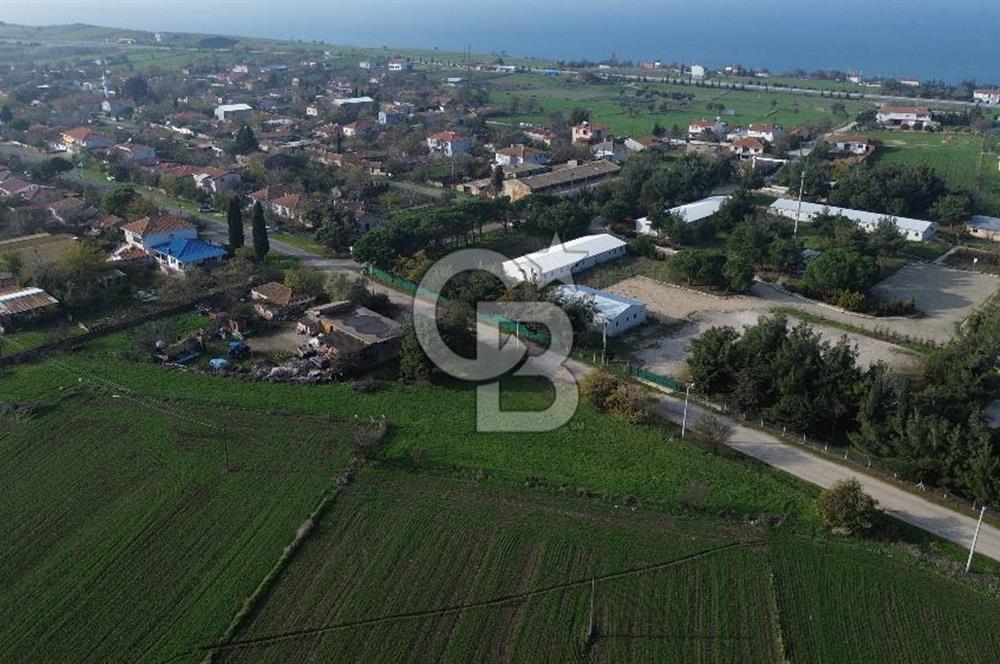 Gelibolu Koruköy de 3567 M² Satılık Arsa !