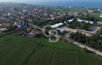 Gelibolu Koruköy de 3567 M² Satılık Arsa !