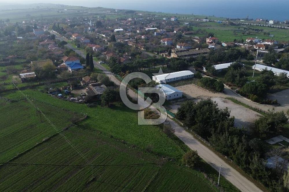 Gelibolu Koruköy de 3567 M² Satılık Arsa !