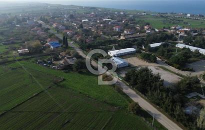 Gelibolu Koruköy de 3567 M² Satılık Arsa !