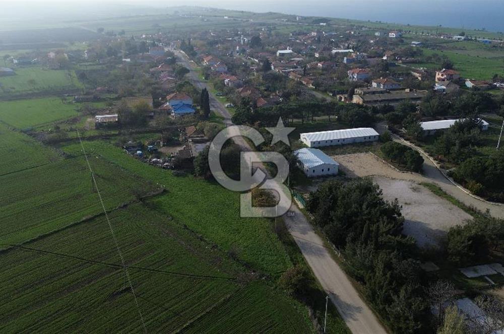 Gelibolu Koruköy de 3567 M² Satılık Arsa !