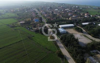 Gelibolu Koruköy de 3567 M² Satılık Arsa !