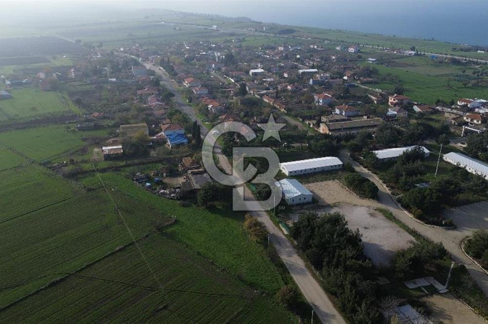 Gelibolu Koruköy de 3567 M² Satılık Arsa !