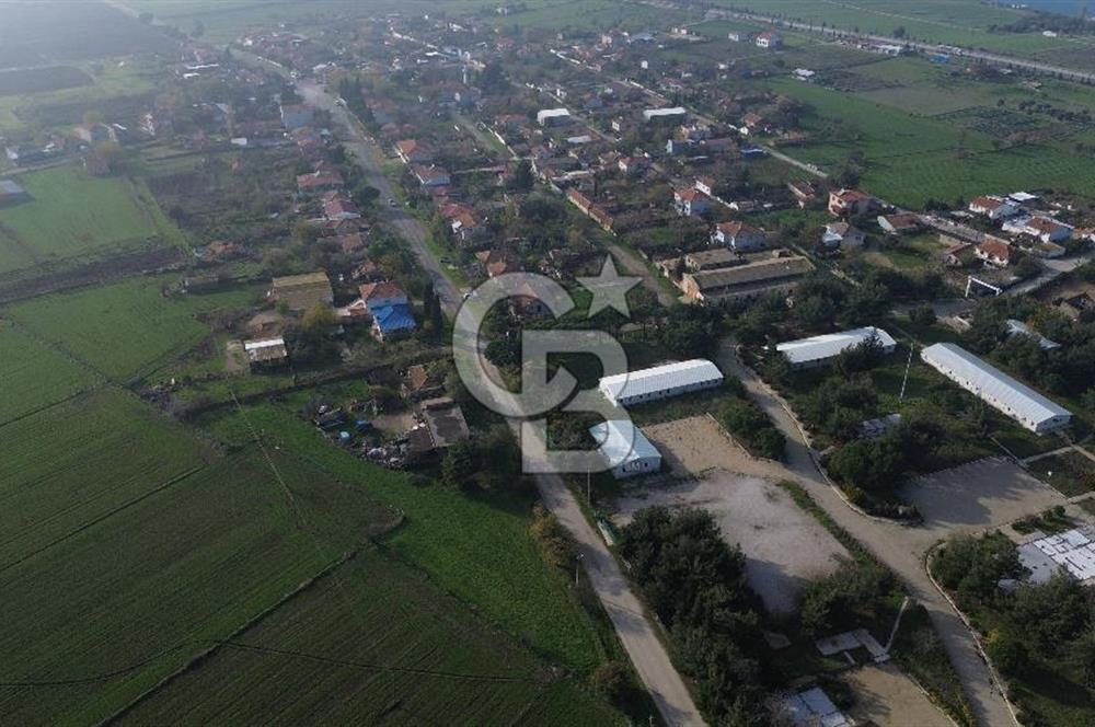 Gelibolu Koruköy de 3567 M² Satılık Arsa !