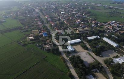 Gelibolu Koruköy de 3567 M² Satılık Arsa !