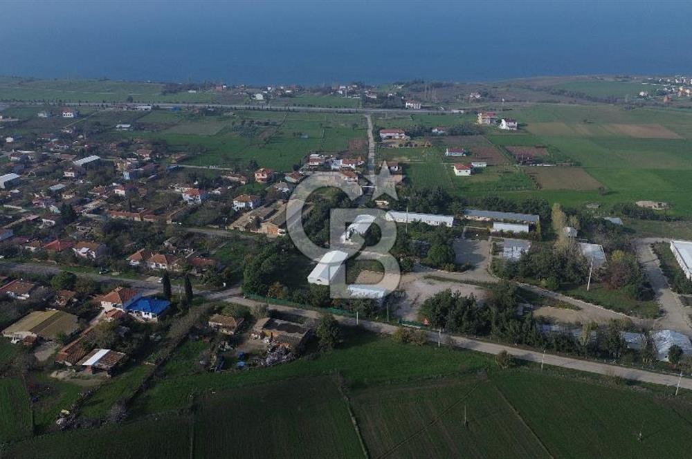 Gelibolu Koruköy de 3567 M² Satılık Arsa !