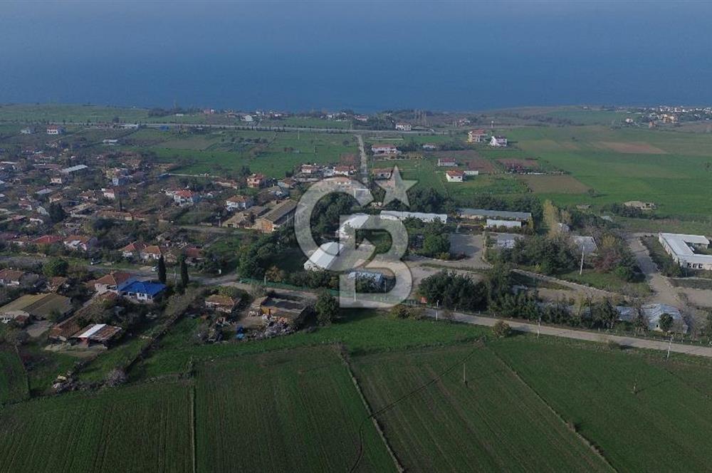 Gelibolu Koruköy de 3567 M² Satılık Arsa !