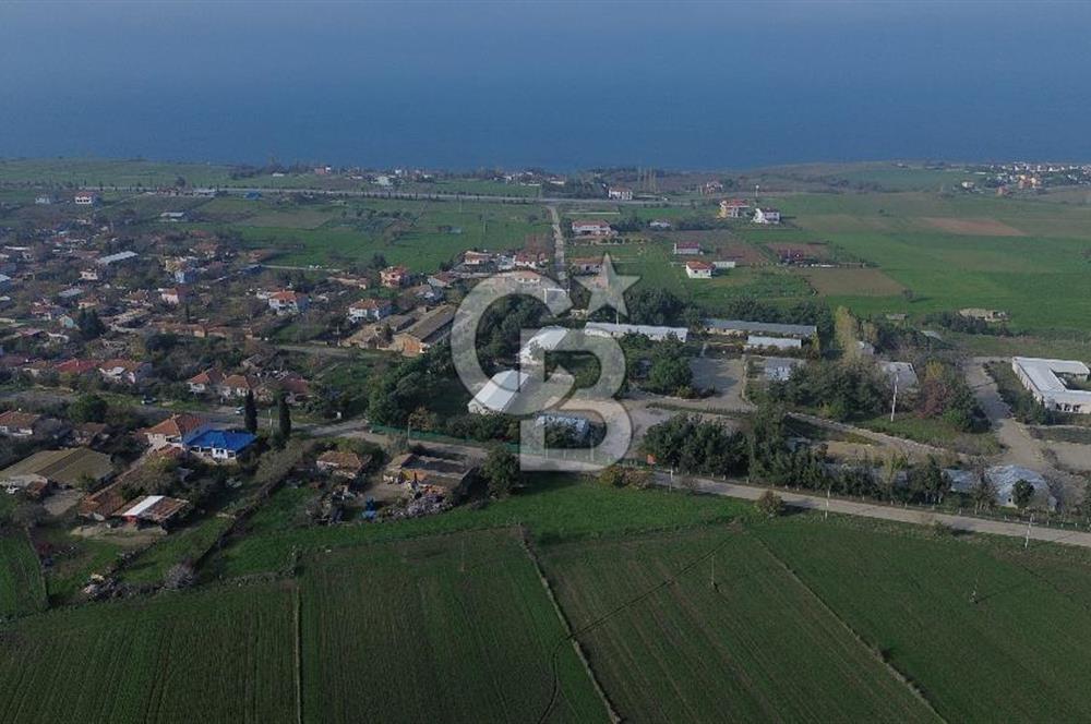 Gelibolu Koruköy de 3567 M² Satılık Arsa !