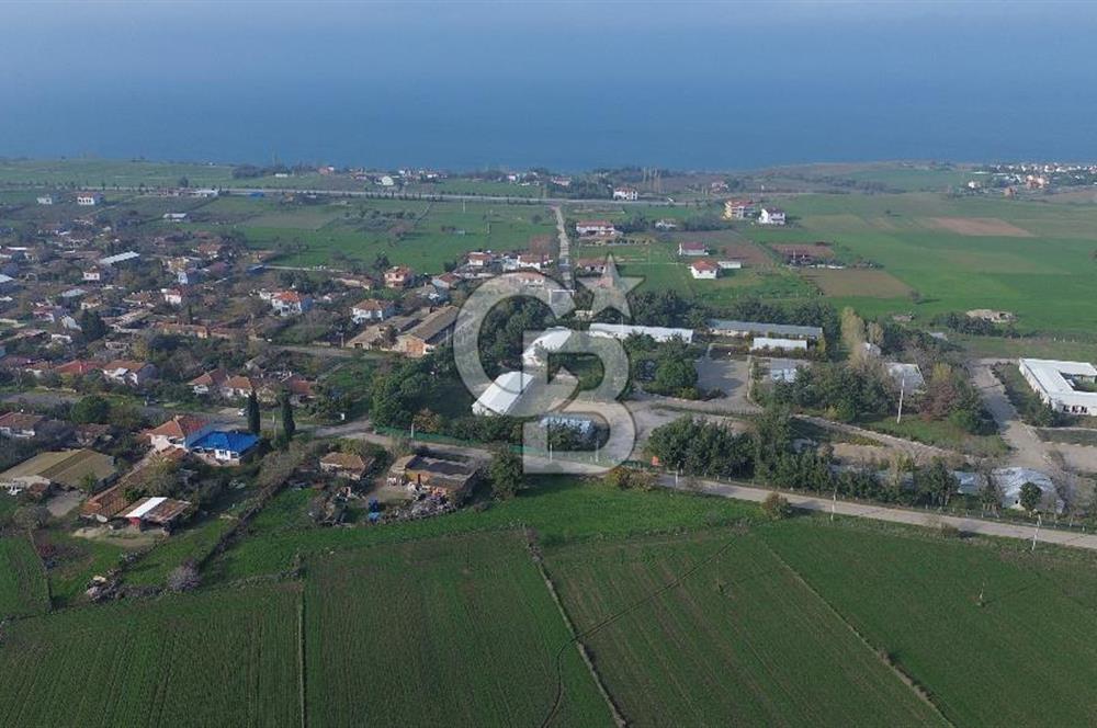 Gelibolu Koruköy de 3567 M² Satılık Arsa !